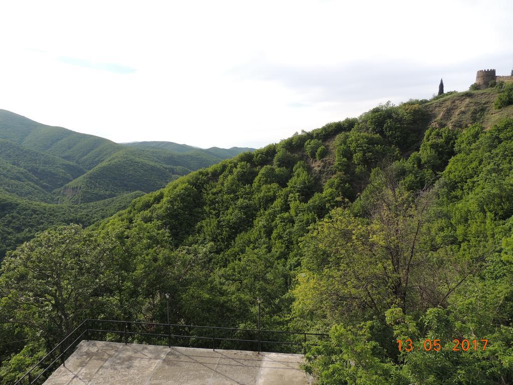 Отель Галавнис Кари Сигнахи Экстерьер фото